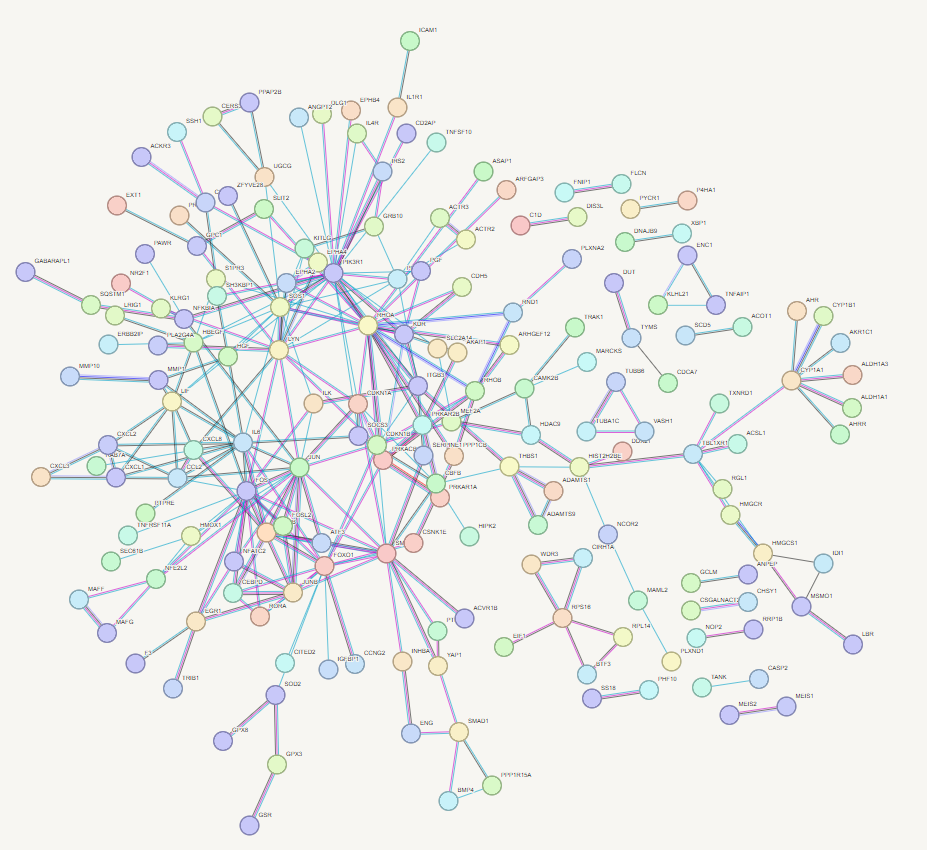 STRING-db Network