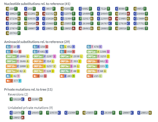 Nexclade Varients