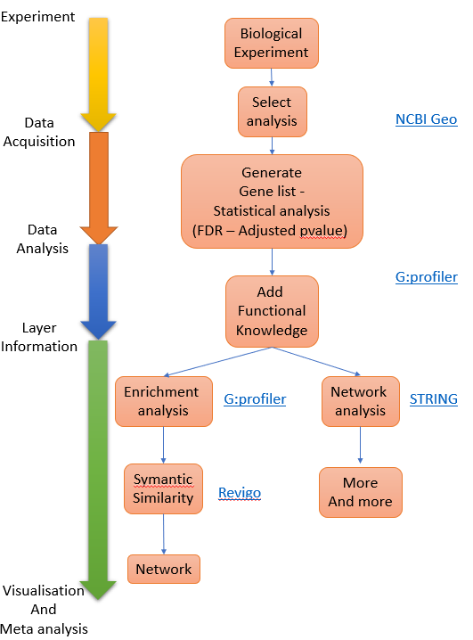 Process Overview