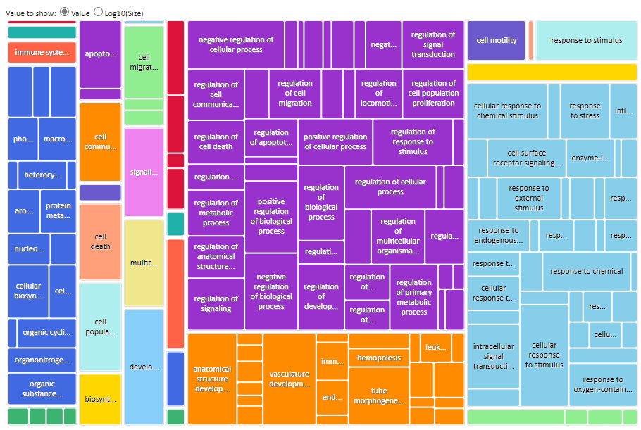 Revigo BP TreeMap